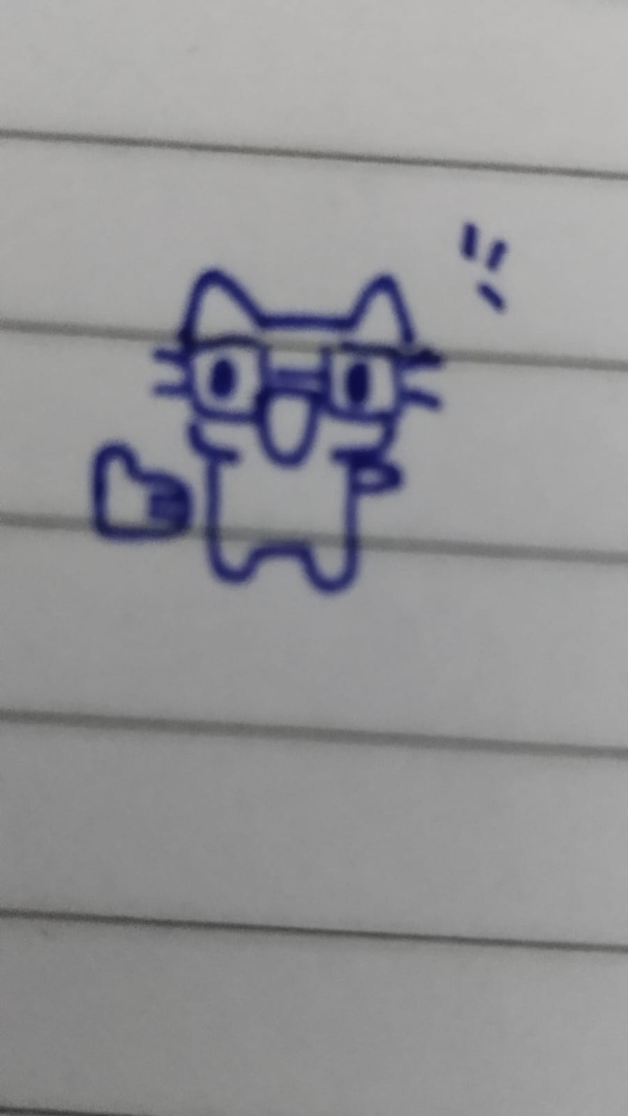 gatito